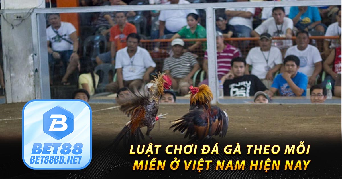 Luật chơi đá gà theo mỗi miền ở Việt Nam hiện nay